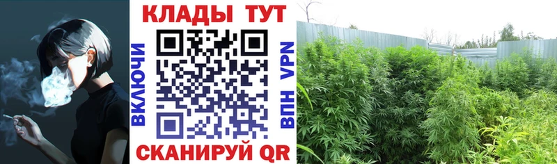 Какие есть наркотики Байкальск Кокаин  Alpha PVP  Гашиш  Бошки Шишки  АМФ  МЕФ 