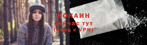 дживик Аркадак