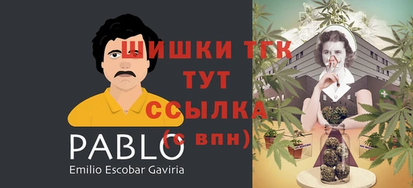 дживик Аркадак