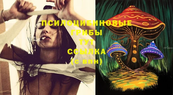 гидропоника Арсеньев