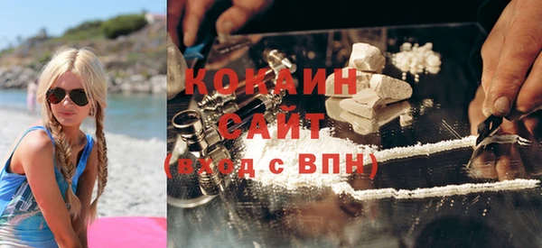 дживик Аркадак