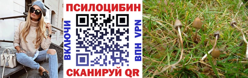 сайты даркнета формула  Байкальск  Псилоцибиновые грибы GOLDEN TEACHER 